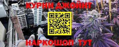 гашик Донской