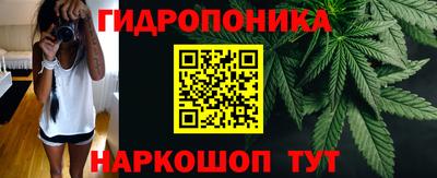 гашик Донской