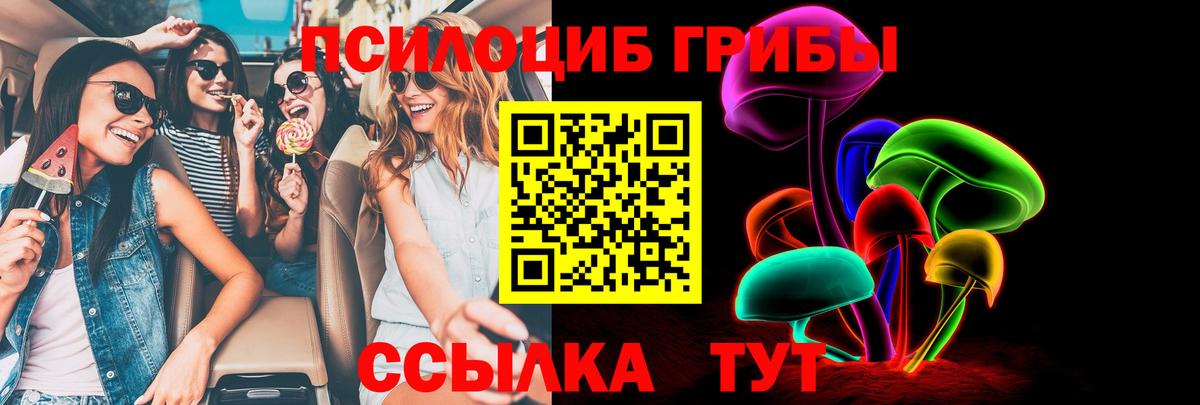 Псилоцибиновые грибы мицелий  хочу наркоту  Еманжелинск  Вход с VPN  Псилоцибиновые грибы мухоморы 
