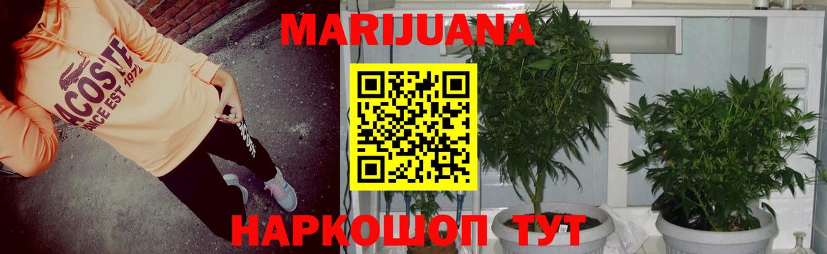 Шишки марихуана THC 21%  Канабис семена  Еманжелинск  Вход с VPN  Бошки марихуана ГИДРОПОН  Шишки марихуана сатива 